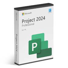 Project 2024 Professional